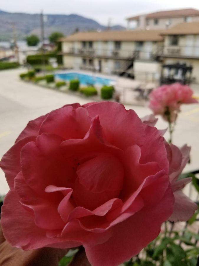 Osoyoos Lakeview Inn & Suites Екстер'єр фото