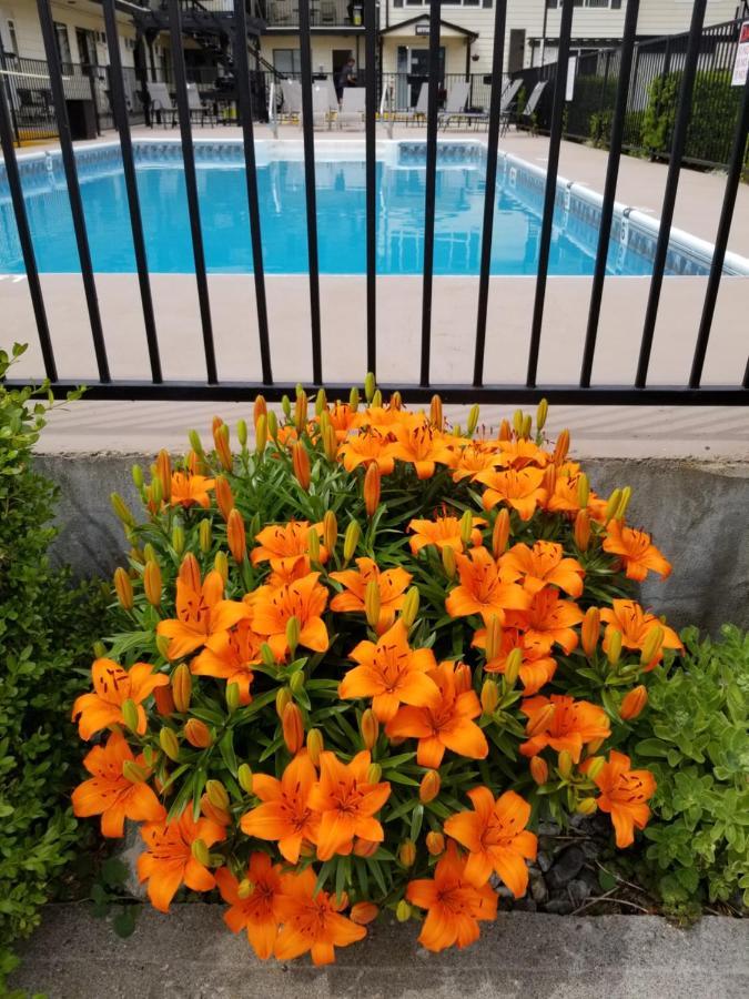 Osoyoos Lakeview Inn & Suites Екстер'єр фото